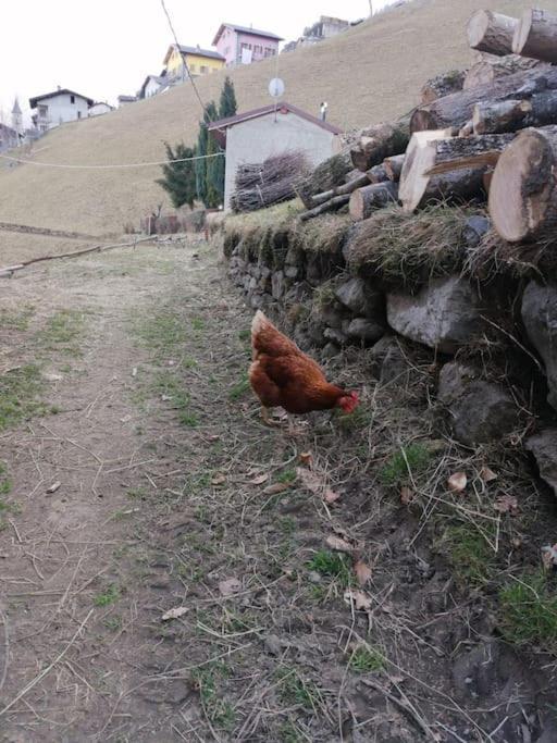 Graziosa, Casetta In Valgerola Rasura Exterior foto